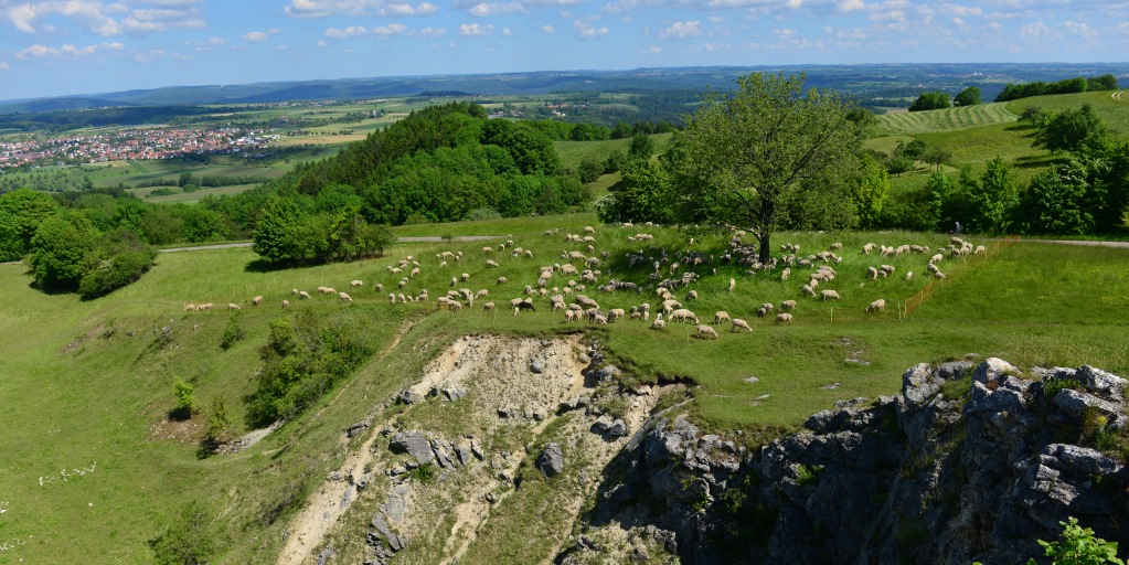 Löwenpfad Spielburg-Runde