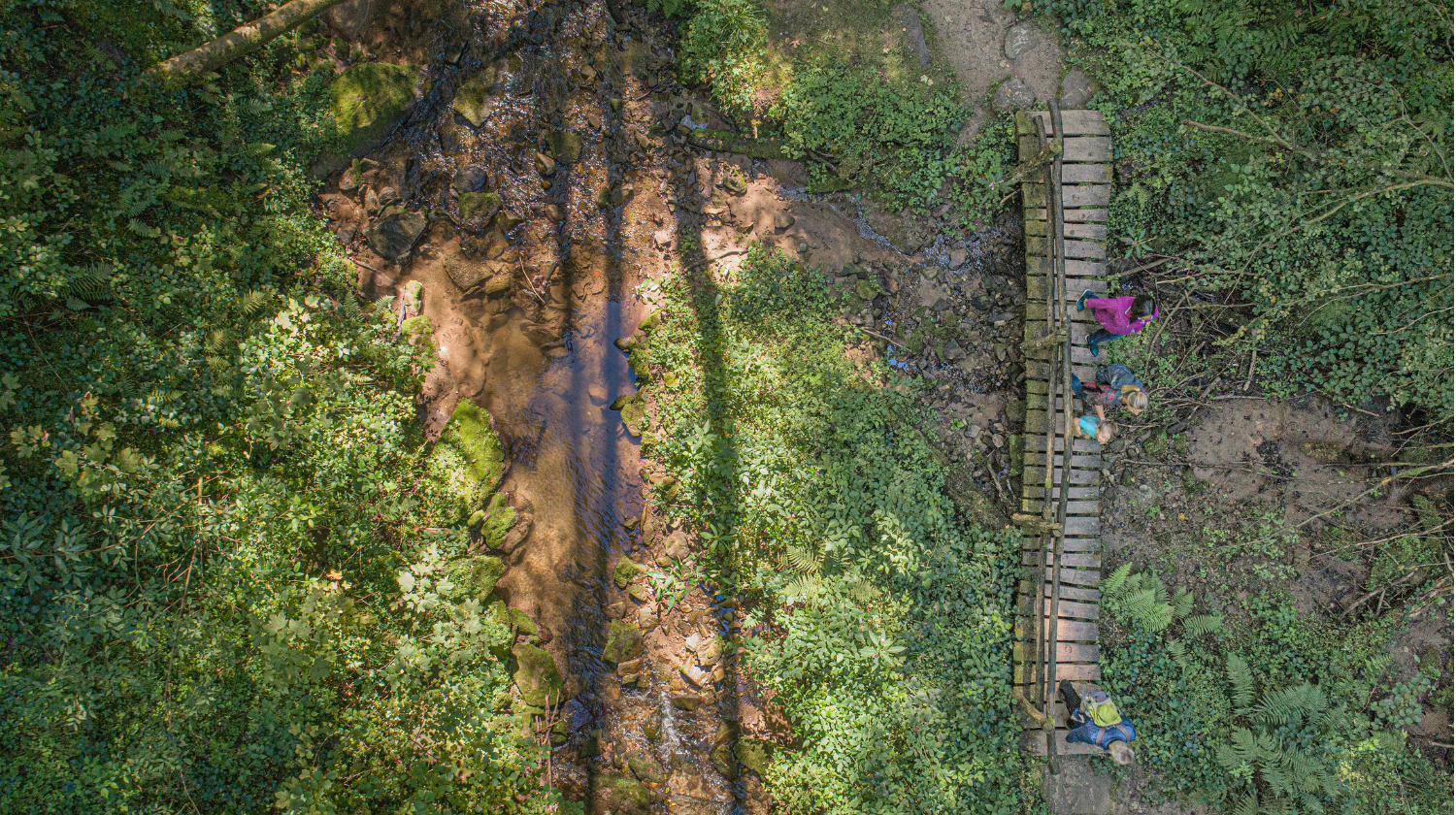 Vogelperspektive auf Wanderer im Wald, Copyright: Jan Bürgermeister