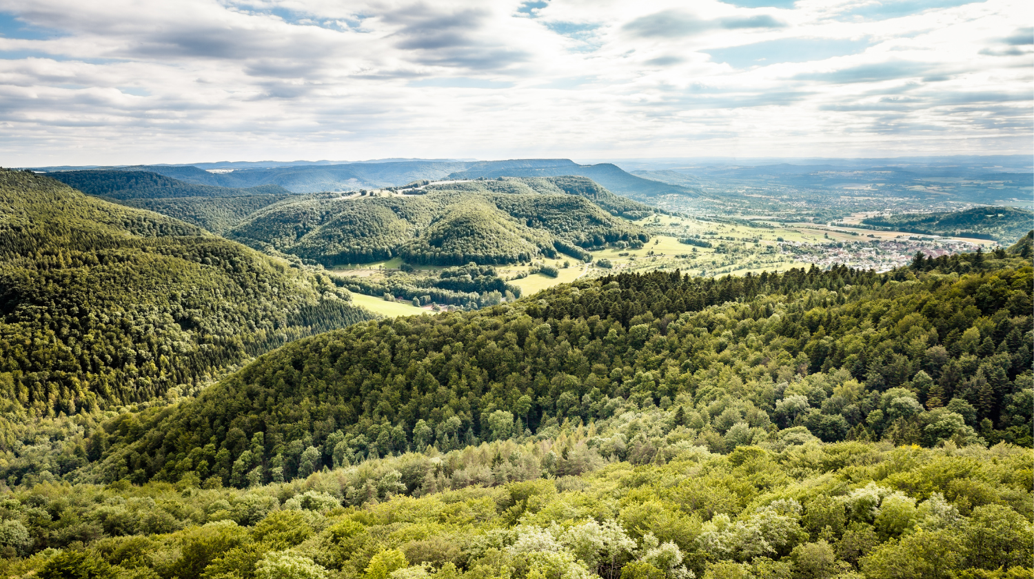Ausblick vom Rossberg Copyright: Angela Hammer