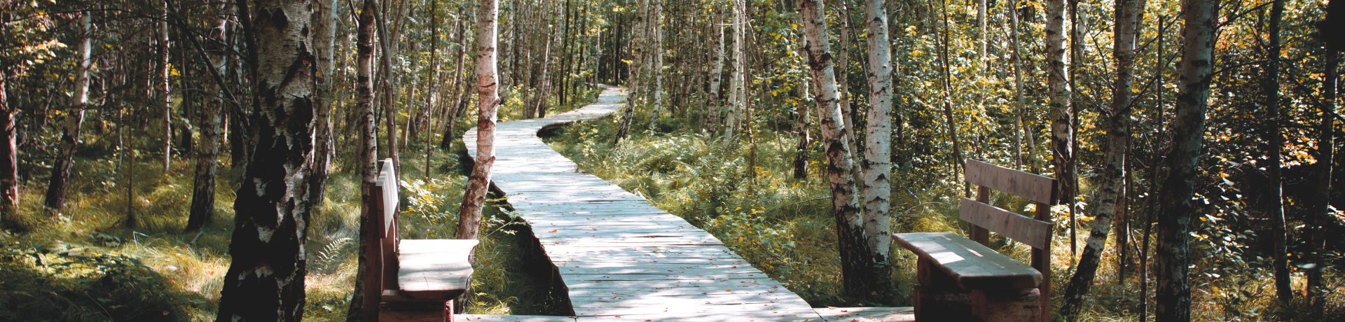 kopfgrafik-schloss-filseck-runde