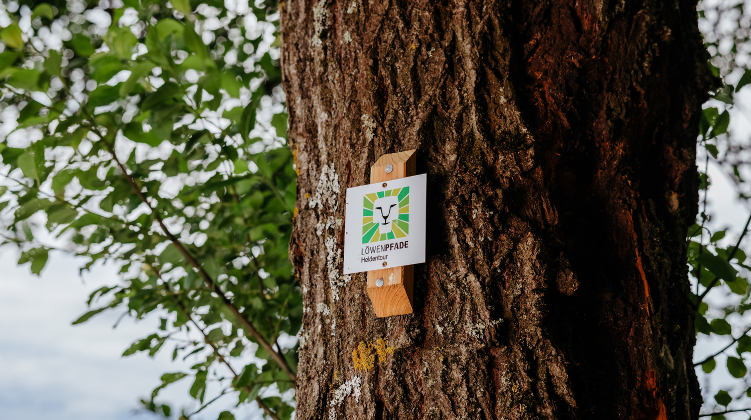 markierungszeichen-an-baum