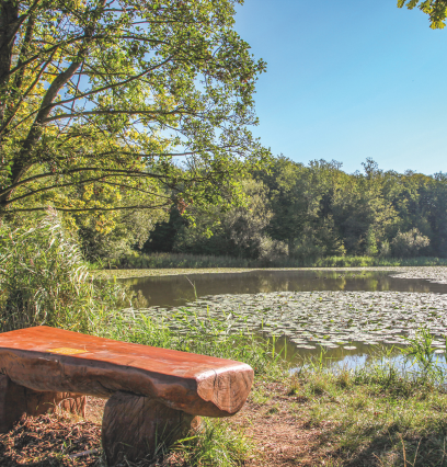 charlottensee charlottensee
